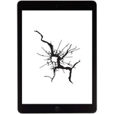 iPad 2 Screen and LCD Repair